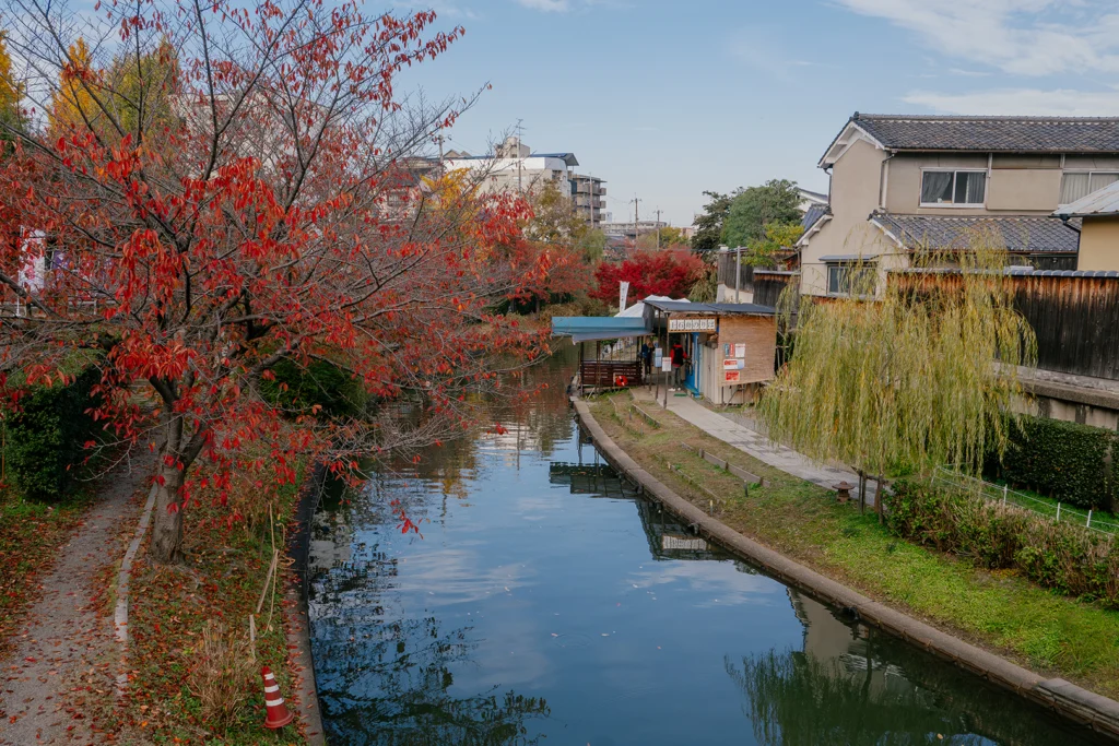 Un canale d'acqua calmo a Fushimi, Kyoto, circondato da alberi con foglie autunnali rosse, case tradizionali e la banchina di legno per l'imbarco sui battelli storici.