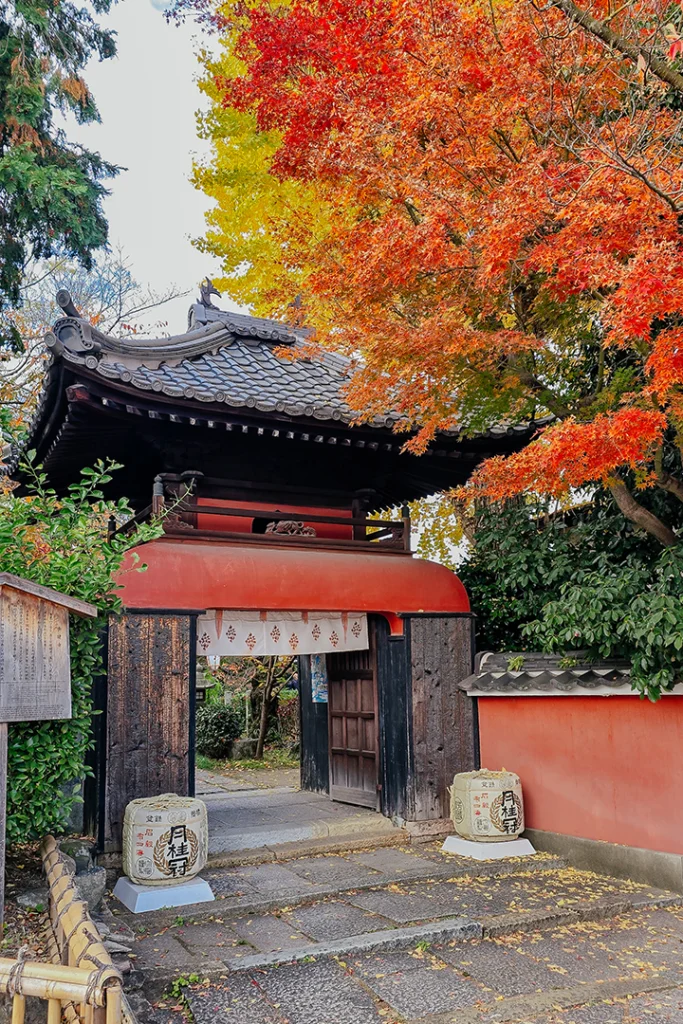 La caratteristica porta d'ingresso vermiglia del tempio Choken-ji a Fushimi, Kyoto, circondata da aceri rossi e ginkgo gialli in autunno, con due botti di sake ai lati.