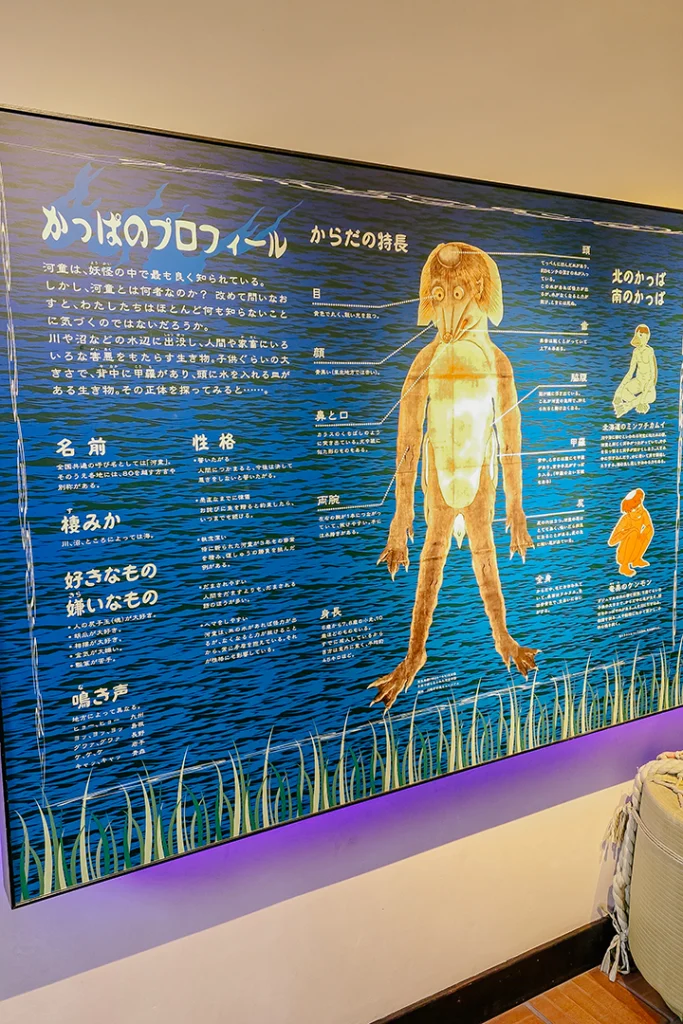 Un grande cartello espositivo blu con scritte in giapponese e un'illustrazione centrale che descrive dettagliatamente l'anatomia e le caratteristiche fisiche di un kappa.